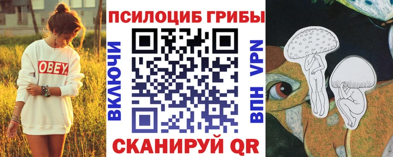OMG ссылка Нижние Серги Псилоцибиновые грибы Magic Shrooms